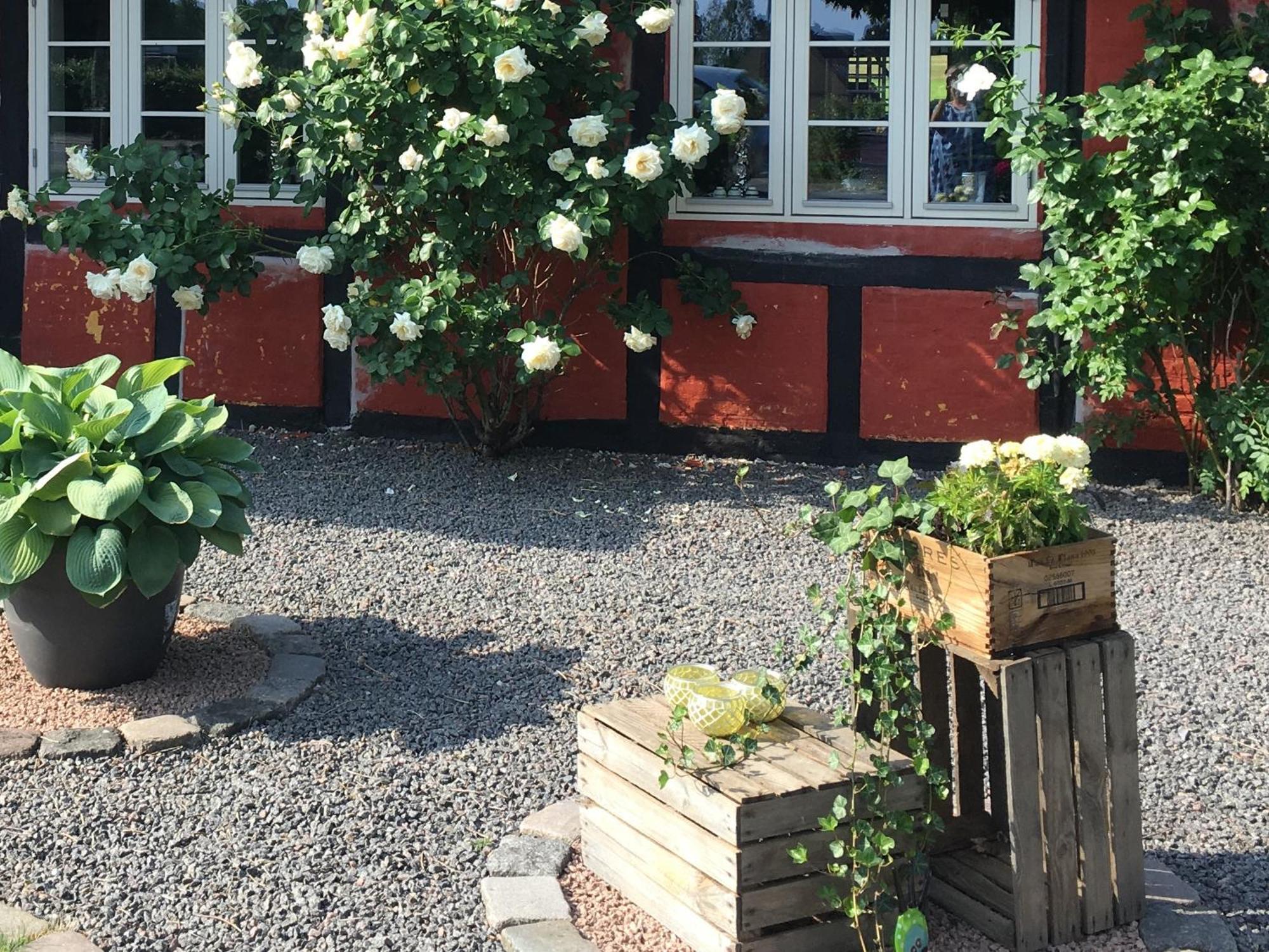 Lolland Bed & Breakfast Sollested  Exteriör bild